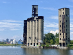 Buffalo