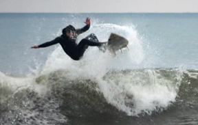 Surf ralph Fatello