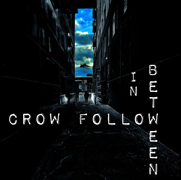 Crow Follow