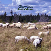 Glowbox Juniors Farm