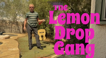 The Lemon Drop Gang