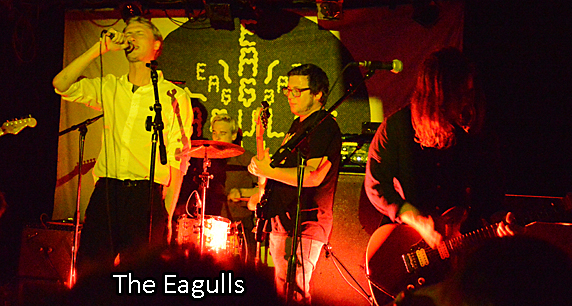 Eagulls