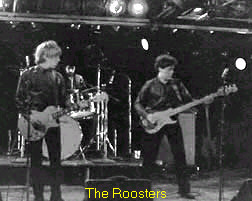 The Roosters