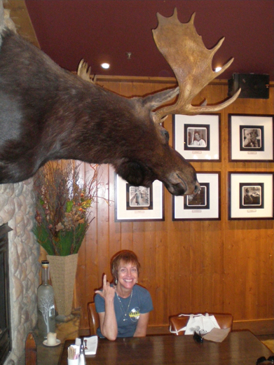 Banffmoose9.jpg - 207.95 K