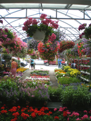 F7atwaterFlowers2.JPG - 87.89 K