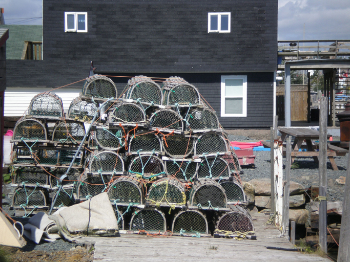 A91FishCoveTraps.jpg 415.53 K