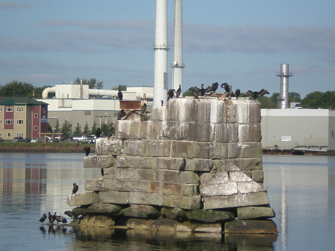 B91charlBirdsConst.jpg 309.53 K