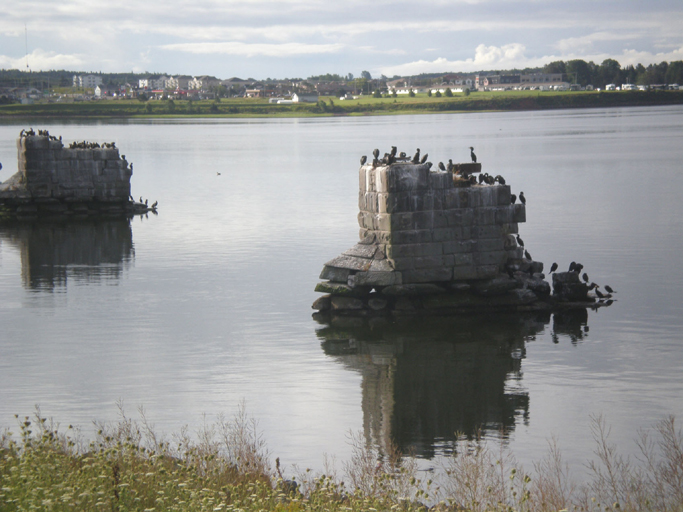 B93charlBirds.jpg 268.84 K