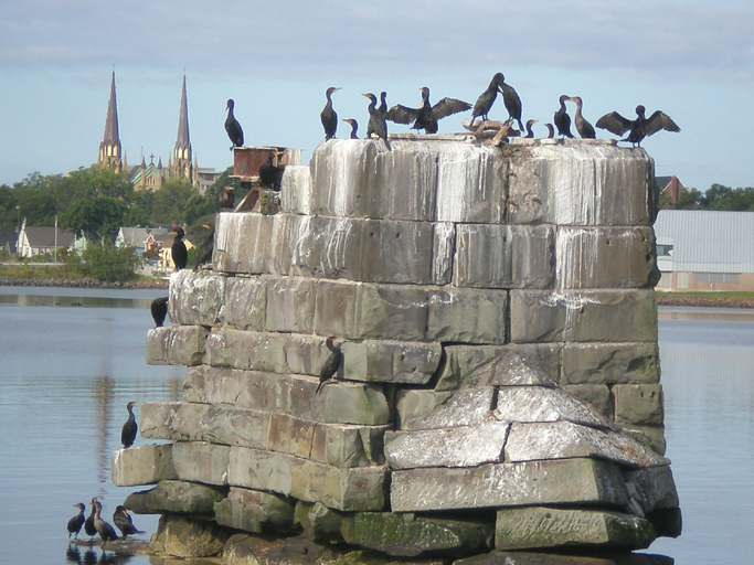 B9charlBirdsChurch3.jpg 327.52 K