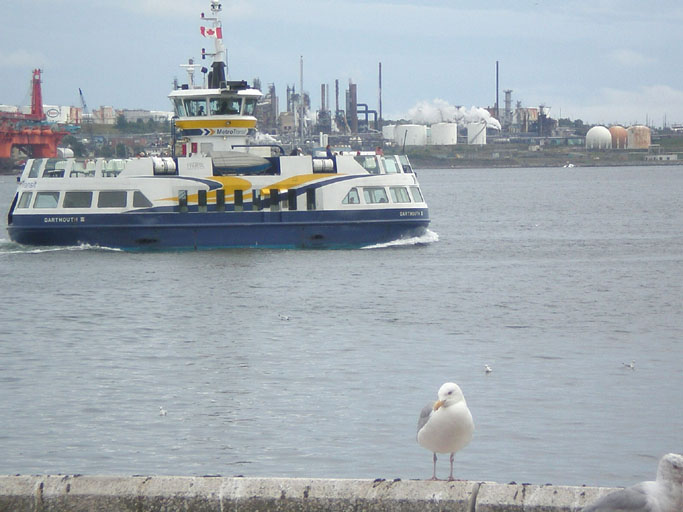 G93gull.JPG 78.05 K