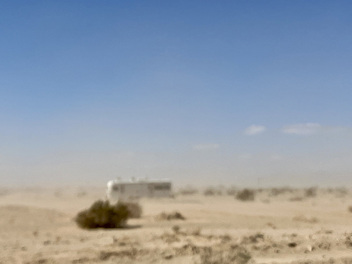 Joanie in Salton Sea