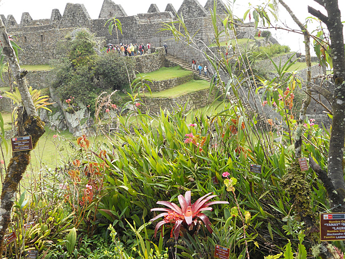 Machu Pichu