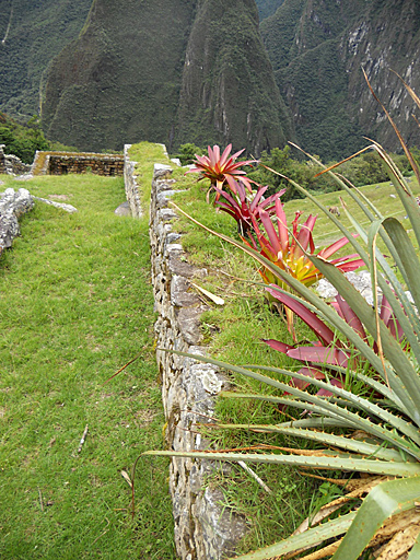 Machu Pichu