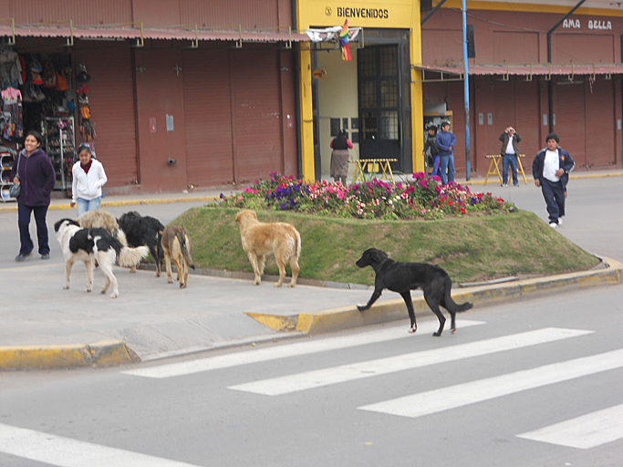 Joanie in Peru