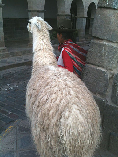 Joanie in Peru