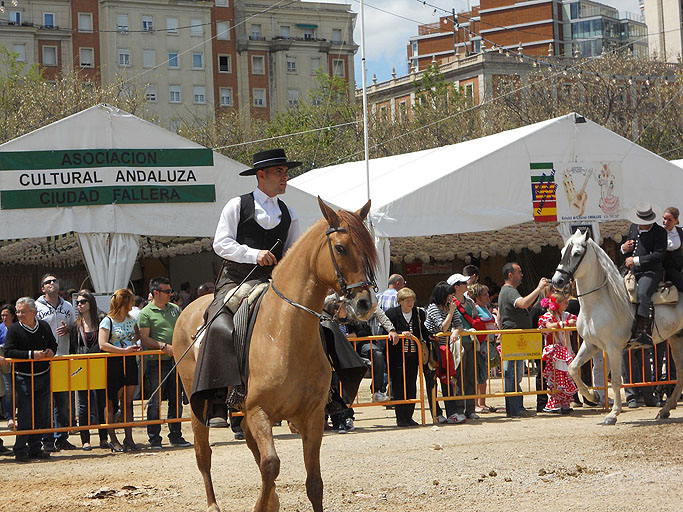 C95festivalHorse2.JPG 164.10 K