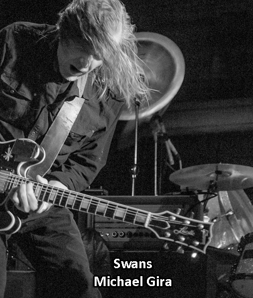 Swans