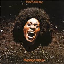 Magot brain