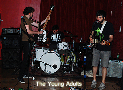 Young Adults