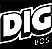 Dig