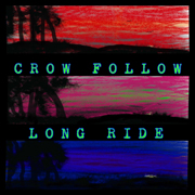 Crow Follow