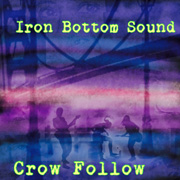 Crow Follow