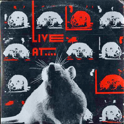 Live at the Rat