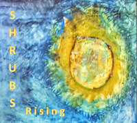 The Shrubs