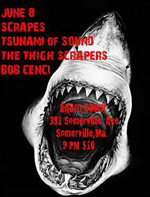 Radio gig Somervile