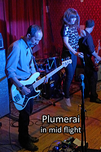 Plumerai