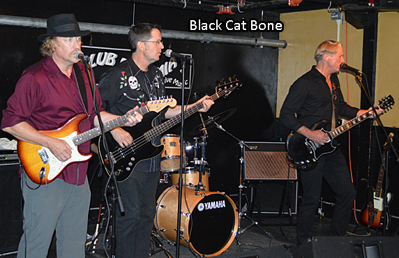 Balck Cat Bone