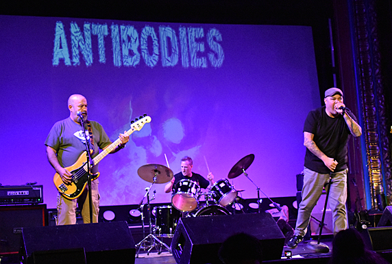 Antibodies