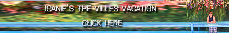 Joanie's Villes Vacation